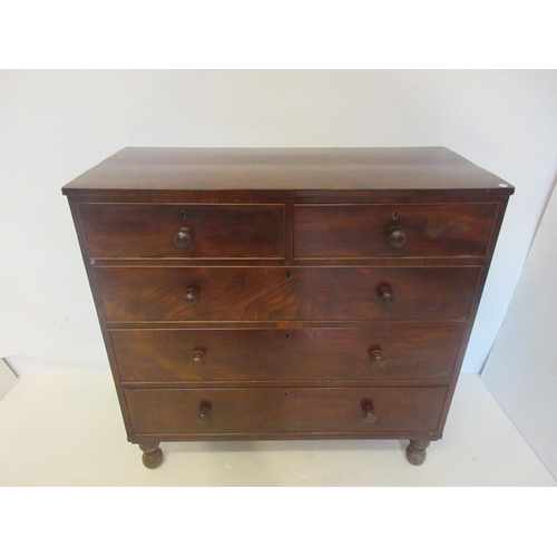 135 - Early Victorian mahogany chest of two short and three long drawers raised on turned legs. W. 42