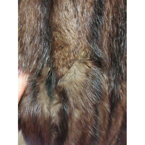 52 - Two ladies fur coats. 
Damage to the brown fur coat. (see photos)