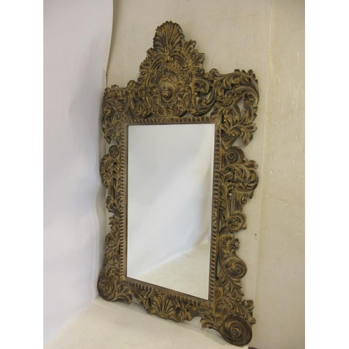 132 - A large decorative carved wood mirror with bevelled glass plate. H. 205cm, W. 124cm approx.