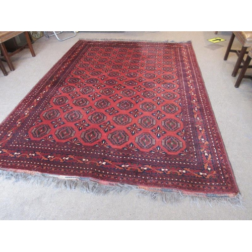 78 - Large old Bokhara style rug. 290cm x 207cm approx.