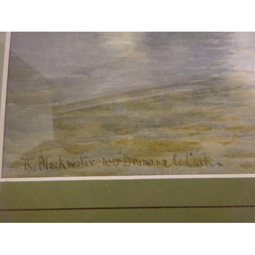 101 - Alexander Williams RHA,
The Blackwater near Dromana,
Watercolour,
Signed,
Overall size - 44cm x 64cm... 