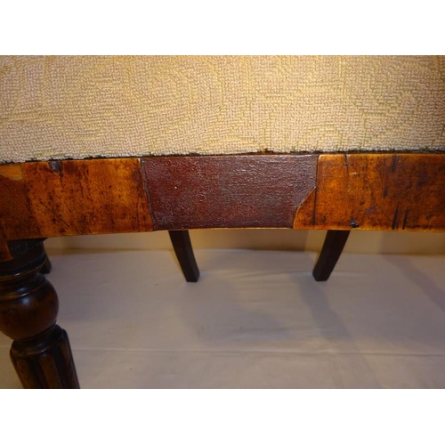 119 - A set of 6 19th century antique mahogany dining chairs raised on fluted legs. Restoration required. ... 