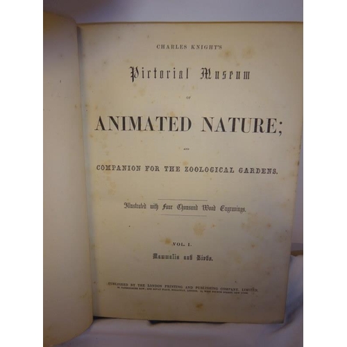 228 - Animated Nature, Volumes 1 & 2 together with a shelf of books.