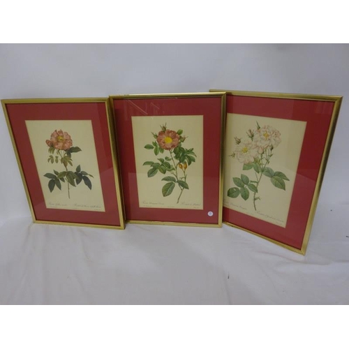 81 - Three framed flower pictures.