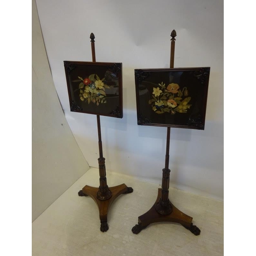 128 - A very original pair of 19th century Irish mahogany pole screens with needlework panels most likely ... 