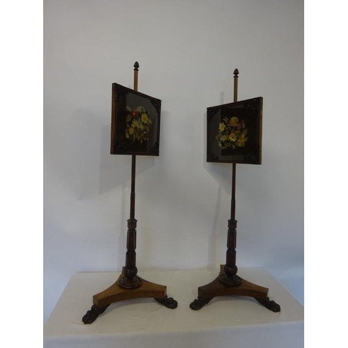 128 - A very original pair of 19th century Irish mahogany pole screens with needlework panels most likely ... 