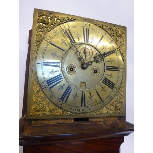 142 - A good Irish Georgian brass dial long cased clock by Thomas Cahill, Waterford housed in a fine mahog... 