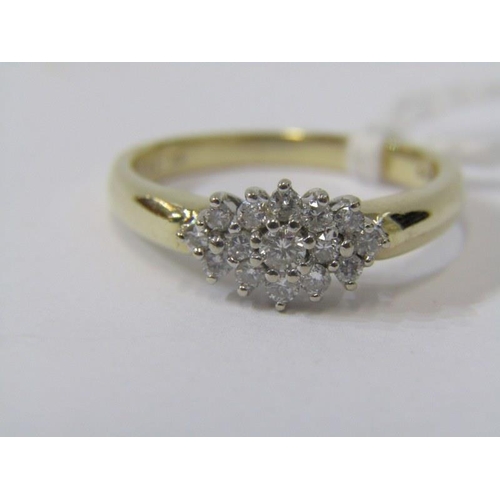 195 - 9ct gold diamond cluster ring. Size N.