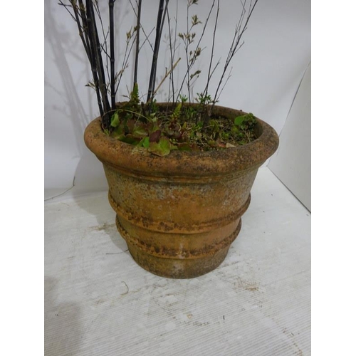 212 - A pair of  circular terracotta garden pots. H. 46cm, Diameter 55cm approx.