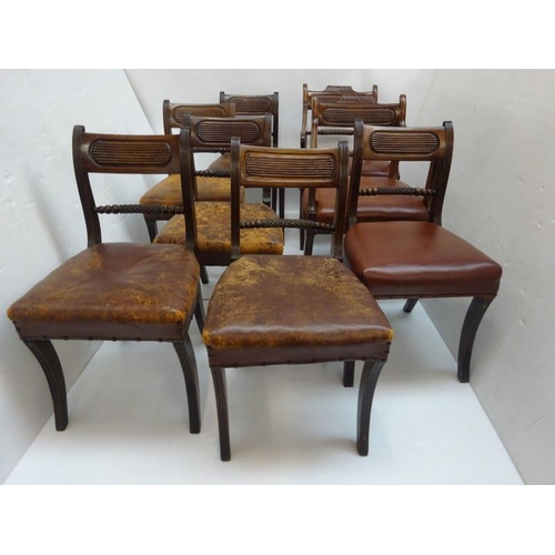 142 - Eight antique Regency dining chairs raised on sabre legs. (2 carvers and 6 singles variations)