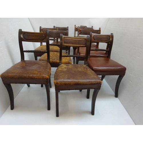 142 - Eight antique Regency dining chairs raised on sabre legs. (2 carvers and 6 singles variations)