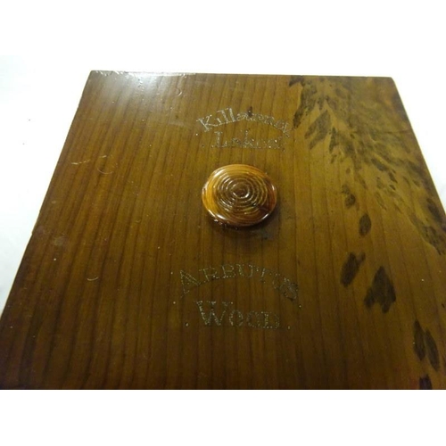 15 - 19th century Killarney wood ladies sewing box, the centre of the lift top inlaid with a deer raised ... 