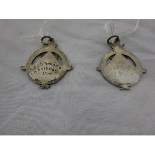 198 - Two hurling medals 1954 and 1955 both stamped Egan, Cork.