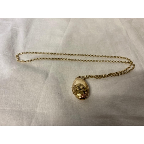 219 - 9 carat gold chain and locket, the locket with diamond inset.