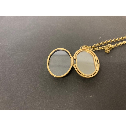 219 - 9 carat gold chain and locket, the locket with diamond inset.