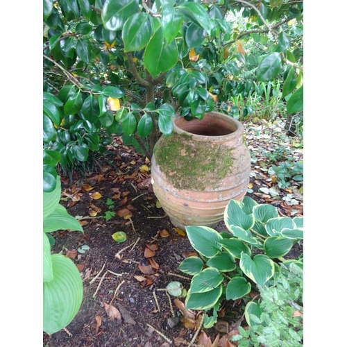 248 - Large terracotta pot.  H. 60cm approx.