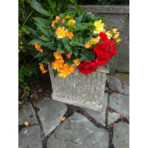 255 - A pair of square concrete garden jardinere's. 45cm x 45cm.