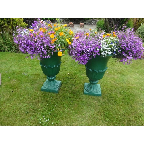 257 - A good pair of tulip design cast iron garden urns on square bases. H. 74cm, Diameter 60cm approx.