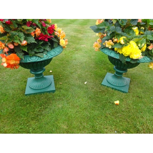 258 - A good pair of cast iron taza design urns on large square bases. H. 50cm, diameter 60cm approx.