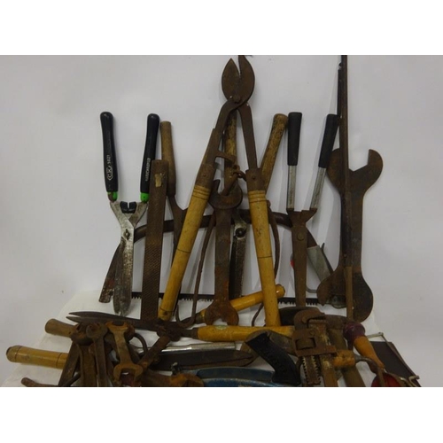 266 - A quantity of garden tools - clippers, etc.