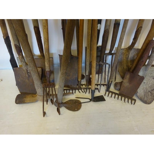 271 - Large quantity of garden implements - spades, forks, rakes, etc.