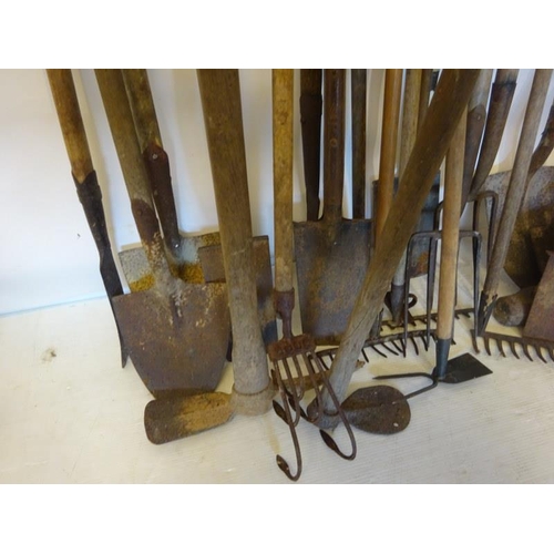 271 - Large quantity of garden implements - spades, forks, rakes, etc.