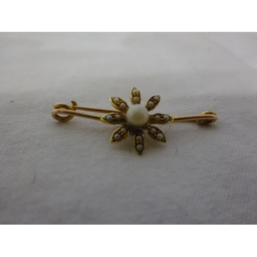 297 - Three gold brooches - one dragonfly, one hockey stick and a pearl brooch.