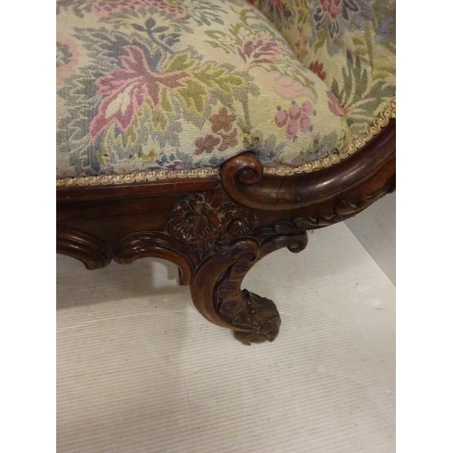 221 - A good antique carved rosewood chaise lounge having nicely shaped back and raised on carved splay le... 