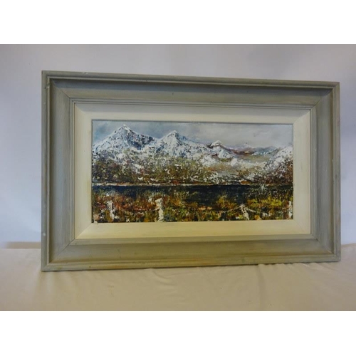 124 - J. McK,
Killarney Winter lake & mountain scene,
Oil on canvas,
30cm x 60cm.