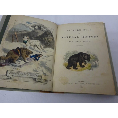 213 - A Picture book of Natural History for Young People, London 1858.