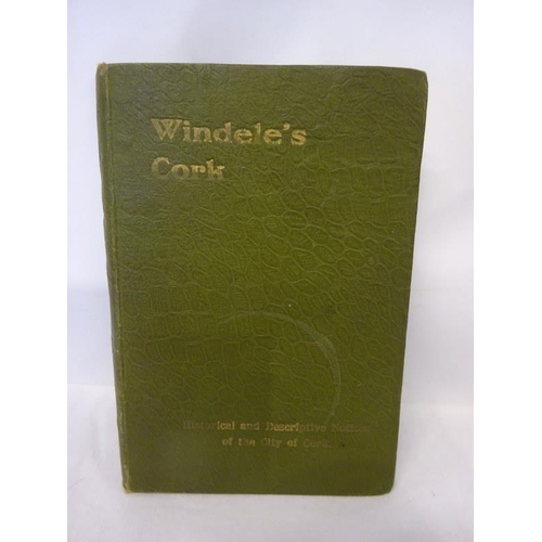 240 - Windele's, Cork published by Guy 1910.