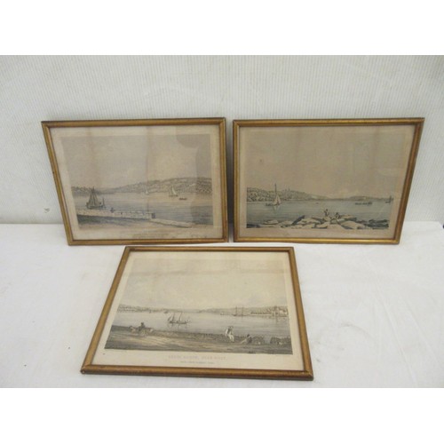 341 - Three old Morgan lithographs - Cork views -Lough Mahon from Lower Glanmire Road, Lough Mahon looking... 