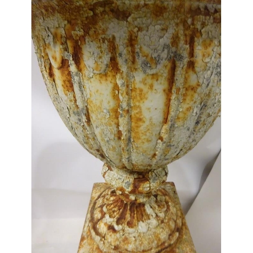 243 - A very good pair of antique cast iron garden urns of tulip shape and raised on tall tapered pedestal... 