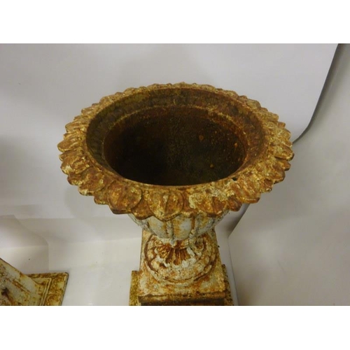 243 - A very good pair of antique cast iron garden urns of tulip shape and raised on tall tapered pedestal... 