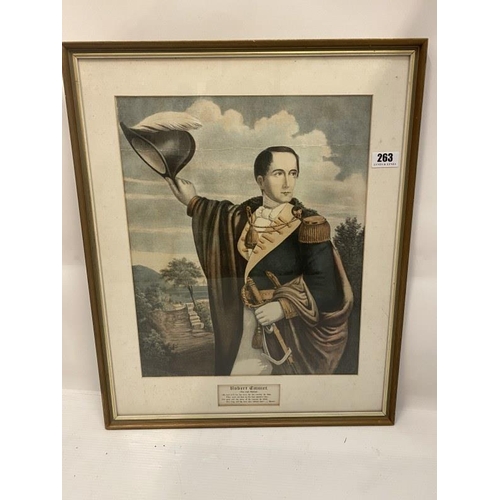 263 - Large coloured engraving, Robert Emmet The Irish Patriot.