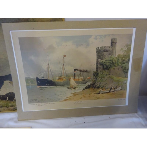 272 - Quantity of loose prints - including Blackrock Castle, Cork by J. W. Carey, a paper mache blotter an... 