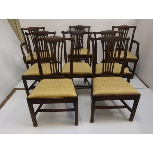 299 - Eight antique mahogany Chippendale design dining chairs raised on chamfered legs,  6 + 2 carvers, ve... 