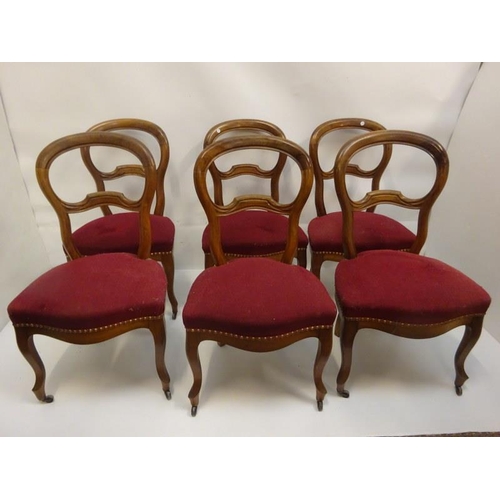 300 - A set of 6 Edwardian walnut dining chairs.