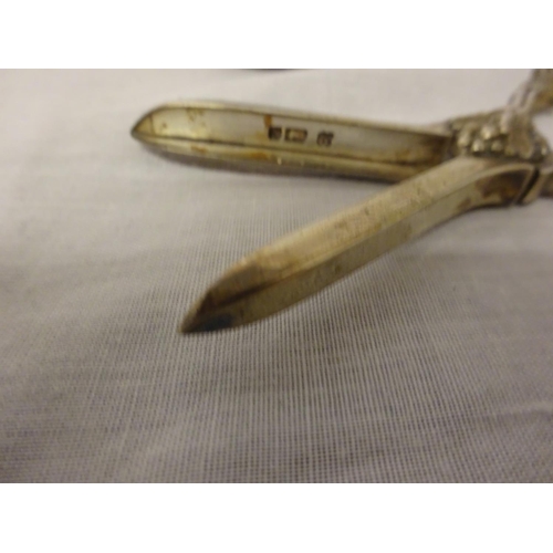 184 - Victorian English silver grape scissor with case. (case cover detached)