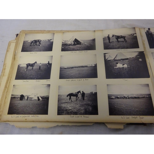 316 - Collection of various photograph albums (see photos)