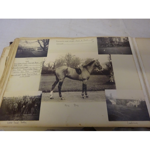 316 - Collection of various photograph albums (see photos)