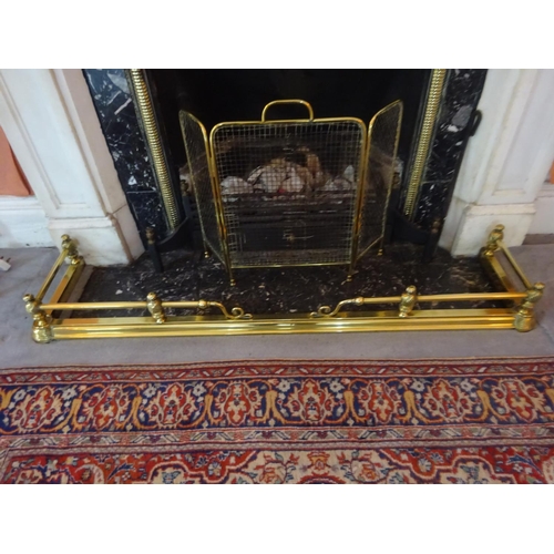 431 - Good antique brass fender and fire screen. 138cm x 29cm approx.