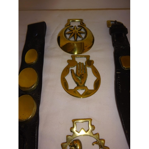 16 - A collection of old horse brasses.