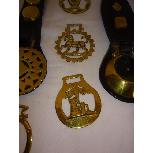 16 - A collection of old horse brasses.