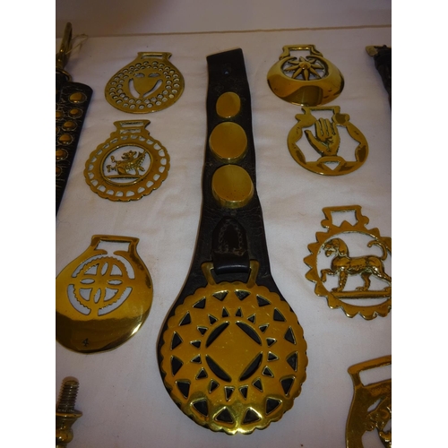 16 - A collection of old horse brasses.