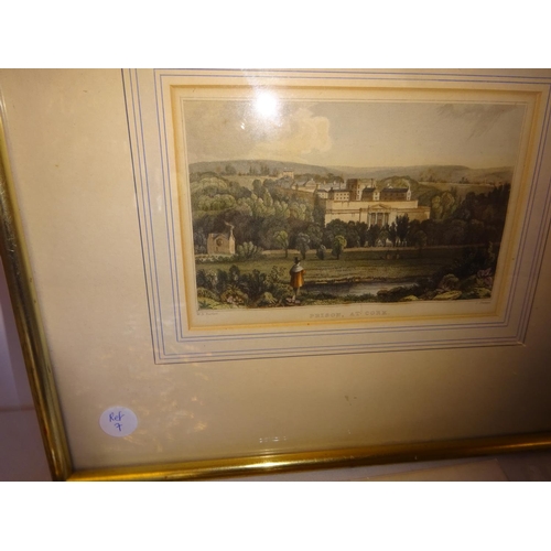 65 - Collection of old prints - Mitchelstown Castle, Foaty Island, Coolmore Cork, Prison Cork. (one frame... 