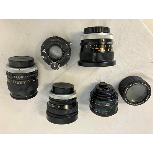 202 - Collection of lenses. See photos.