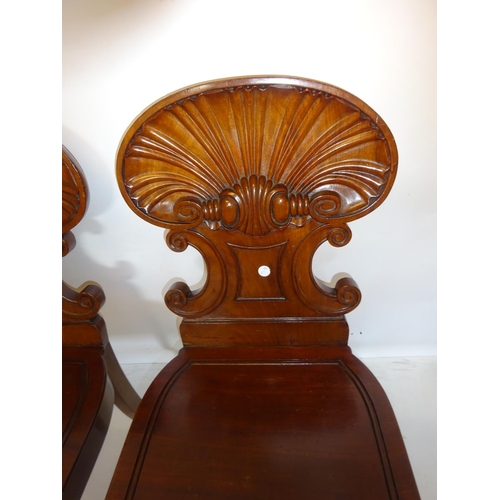 247 - A good pair of antique mahogany hall chairs having shell shaped backs and raised on reeded sabre leg... 