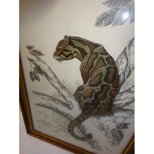 285 - Rama Samaraweera,
Clouded Leopard,
Coloured print,
95cm x 68cm.20