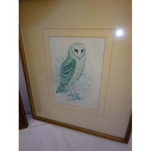 301 - Lot of 4 framed pictures - owl, etc.